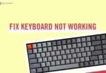 Fix Keyboard Stopped Typing on Windows 10