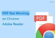 Fixed: PDF File Not Opening in Chrome Adobe Reader