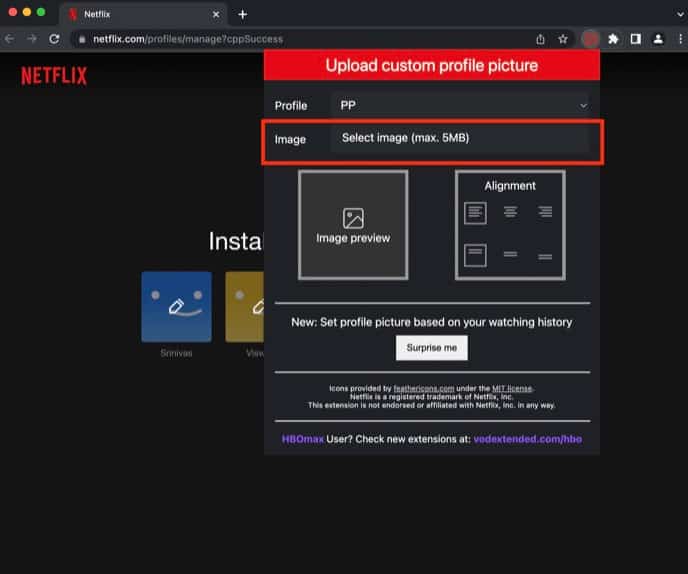 Set Netflix Profile Picture on Web Browser