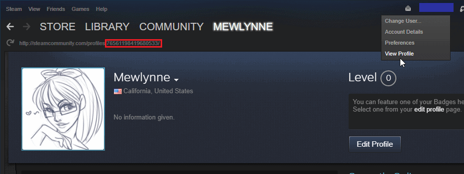 How to get the User ID and Game ID?