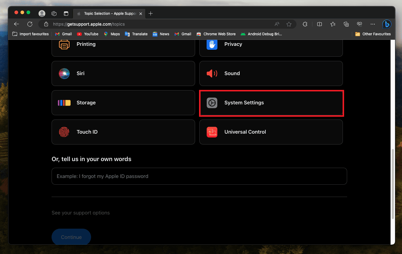 System Setting