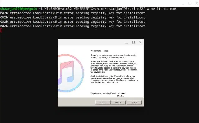 iTunes Installation